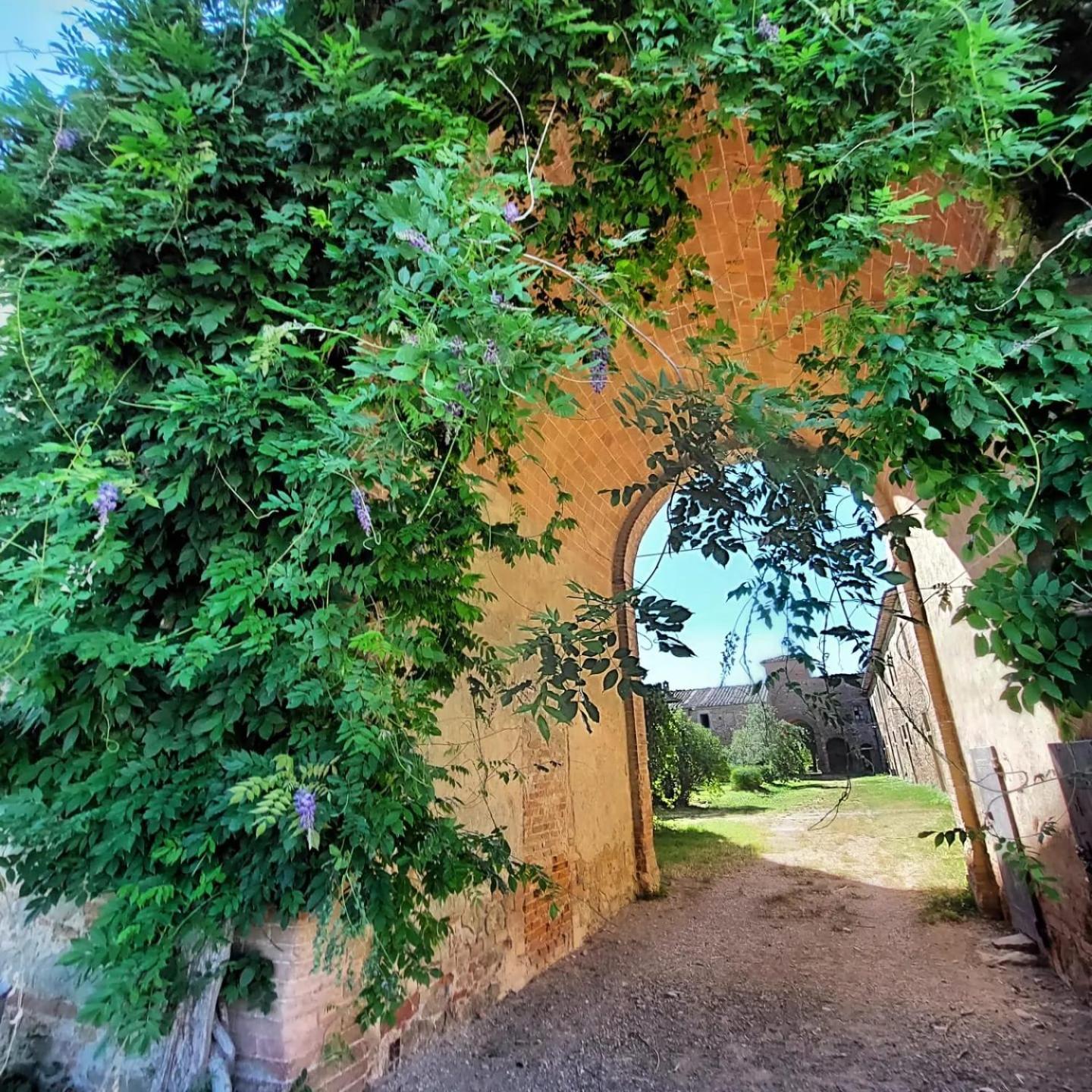 Tenuta La Fratta Sinalunga Exterior foto